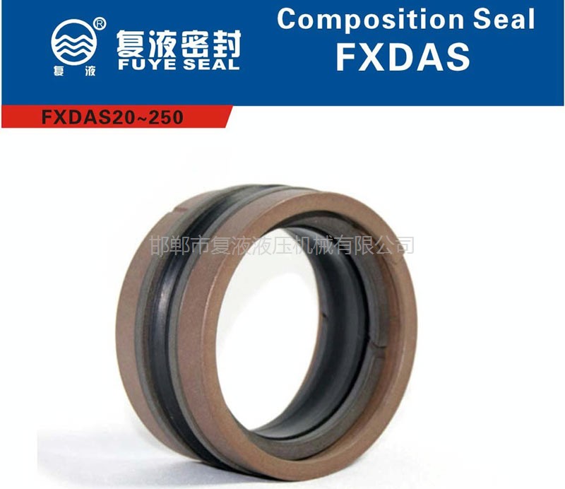 FXDAS孔用組合封